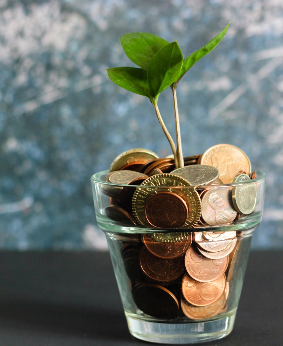 Monete in euro con germoglio - strategie fiscali per ridurre la tassazione